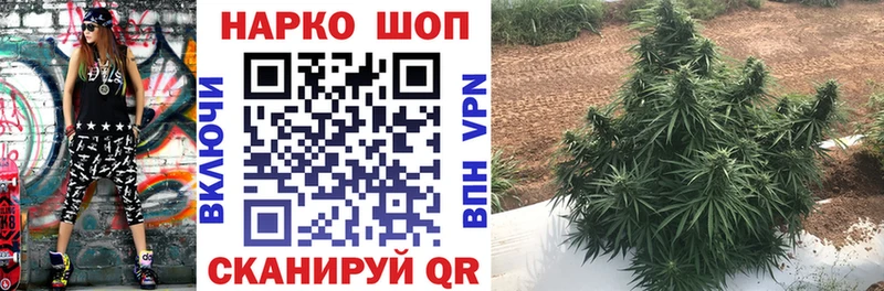 Сколько стоит Гатчина Гашиш  КОКАИН  Мефедрон  Вейп ТГК  Конопля  А ПВП  АМФЕТАМИН 