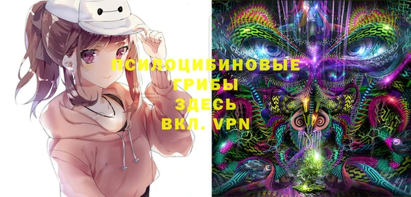 a pvp Богородицк