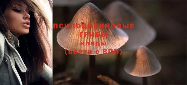 соль ск Бронницы