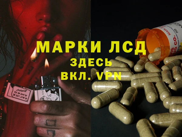 героин Богданович