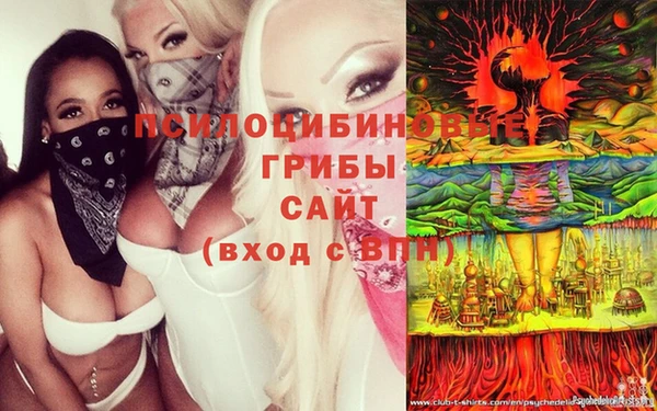 ПСИЛОЦИБИНОВЫЕ ГРИБЫ Богородск
