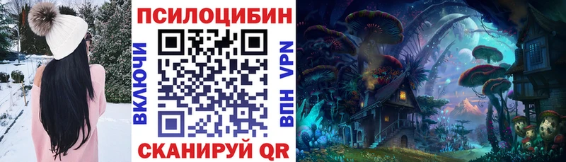 Галлюциногенные грибы Psilocybine cubensis  Гатчина 